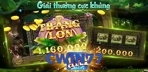 CWIN77